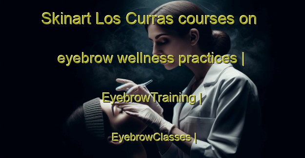 Skinart Los Curras courses on eyebrow wellness practices | EyebrowTraining | EyebrowClasses | SkinartTraining-Spain